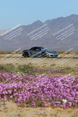 media/Jan-29-2023-PCA San Diego (Sun) [[aa0301ccc2]]/Yellow Group/Session 1 (Turn 15 Bloom)/